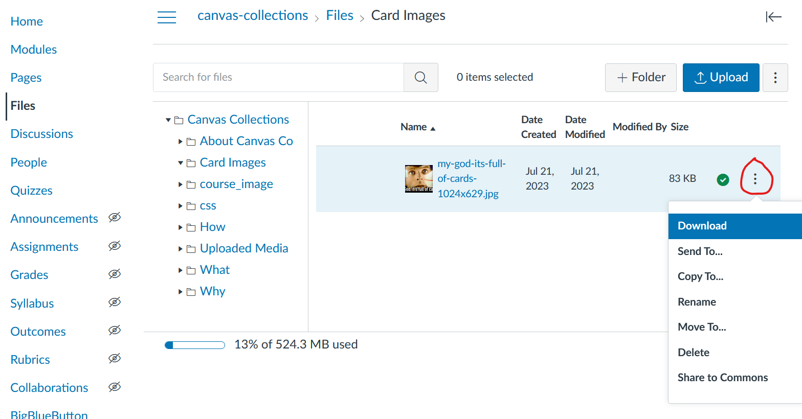 Canvas files area. A folder with a single file (an image). The three dots menu is circled and showing a menu